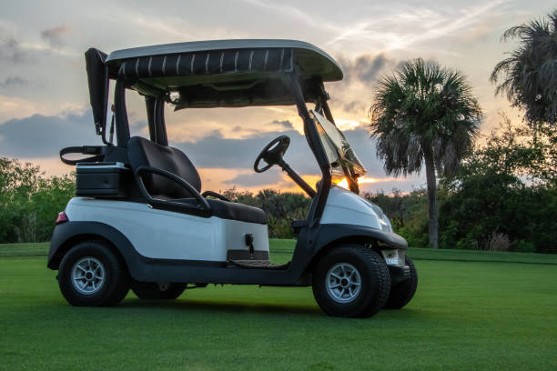 New Inventory Golf Carts